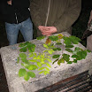 Ironscout2008043.jpg