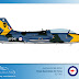 © Luís André Werlang | www.aviacao.art.br tela_raaf_emb326.jpg