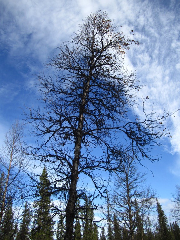 [IMG_2218%255B4%255D.jpg]