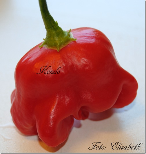 DSC_0130 DSC_0130