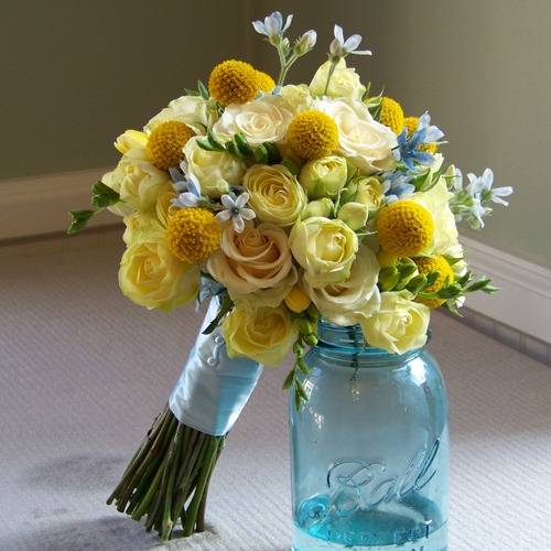 [20090912035-craspedia-Creamy-Eden-sp%255B1%255D.jpg]