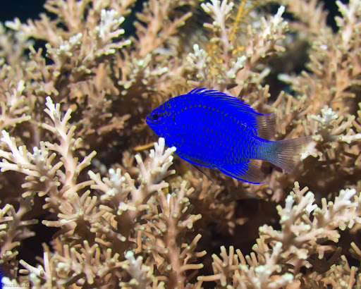 P7014098