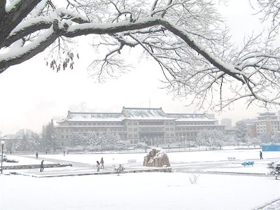 0am68w==_q9NTQU6AvFvX (Medium).jpg