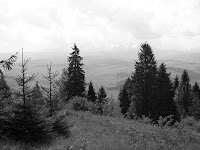 foto2008-05-17T13:08:34-000188.JPG