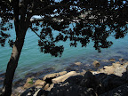Wellington Harbour