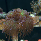 DSC_2102.jpg