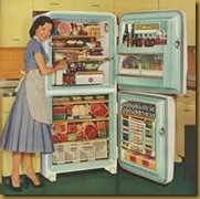 fridge fridge