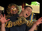 Tiger Attack.jpg