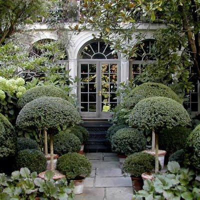 [GARDEN001%255B5%255D.jpg]