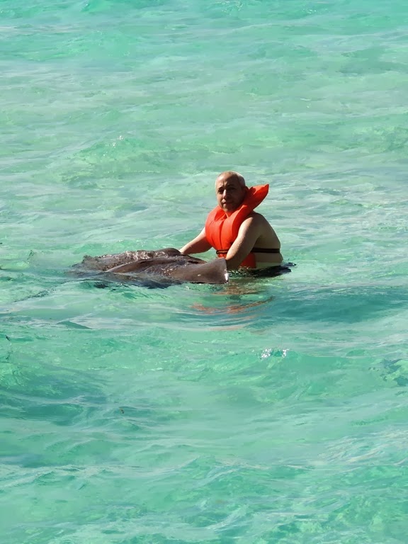 [DSCN7414%255B3%255D.jpg]