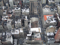 New York from top of Empire State.