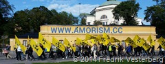 bm-image-754655 Svenskarnas Parti demonstraion den 140830. Med amorism