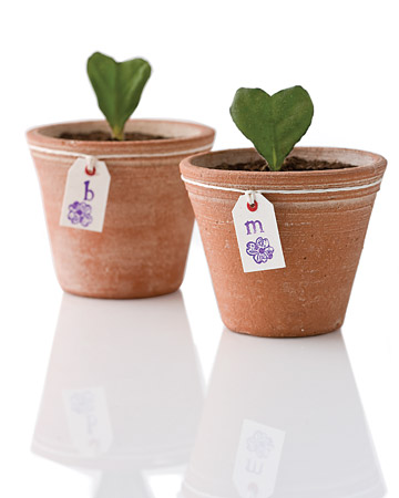 Heart-shaped African Violets (marthastewart.com)