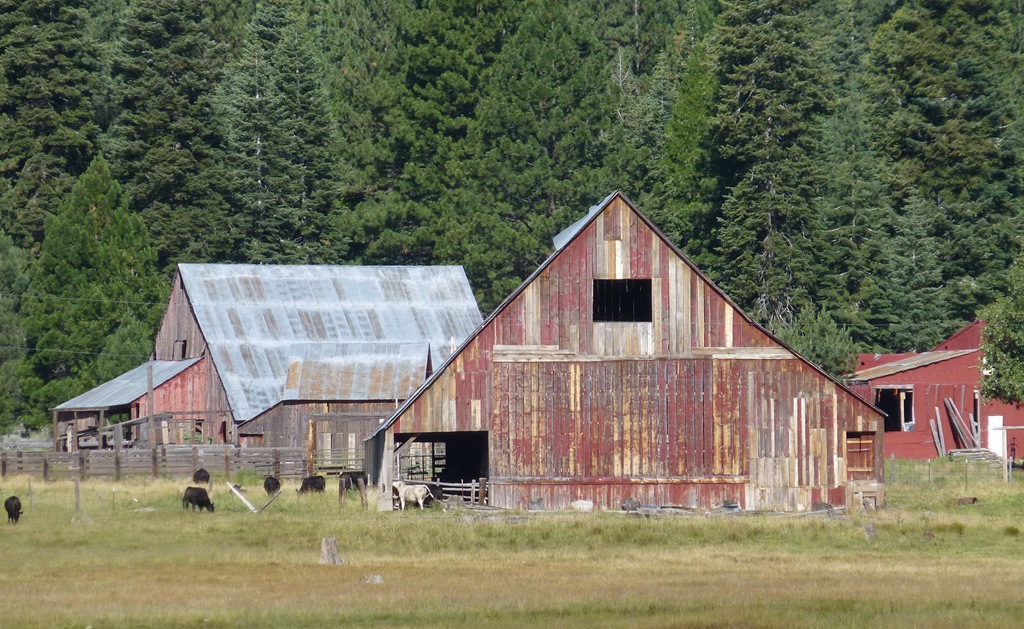 [Need-paint.-Crystal-Harling6.jpg]