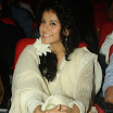 Tapsee @ A Audio Function - Cute Photo Gallery 2012