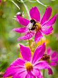 IMG_6178.jpg