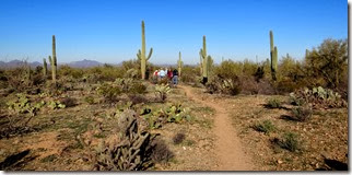 Hike 3 Saguaro West 023