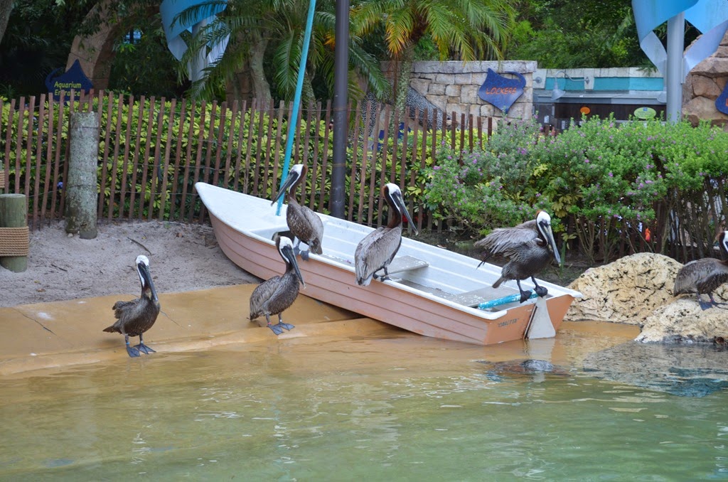 [DSC_8960%255B3%255D.jpg]