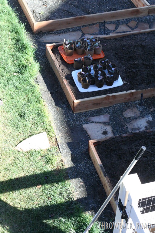 [friday%2520garden%2520028%255B5%255D.jpg]
