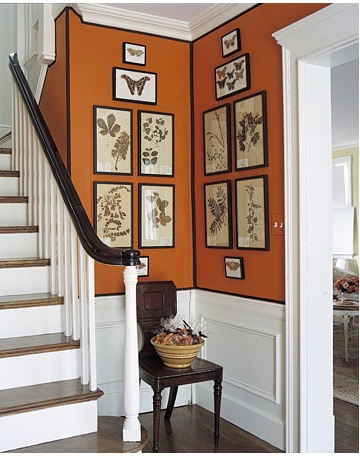Everything about this shot works: the pumpkin orange, brown ribbon and crisp white wainscoting.