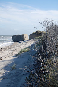 DSC_0499.jpg