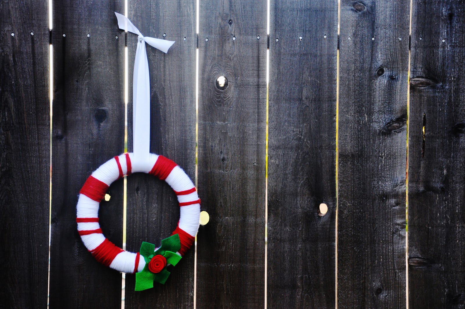[DSC_09724.jpg]