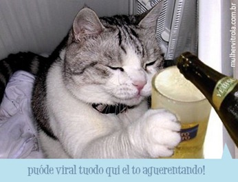 beubo - Cópia - Cópia