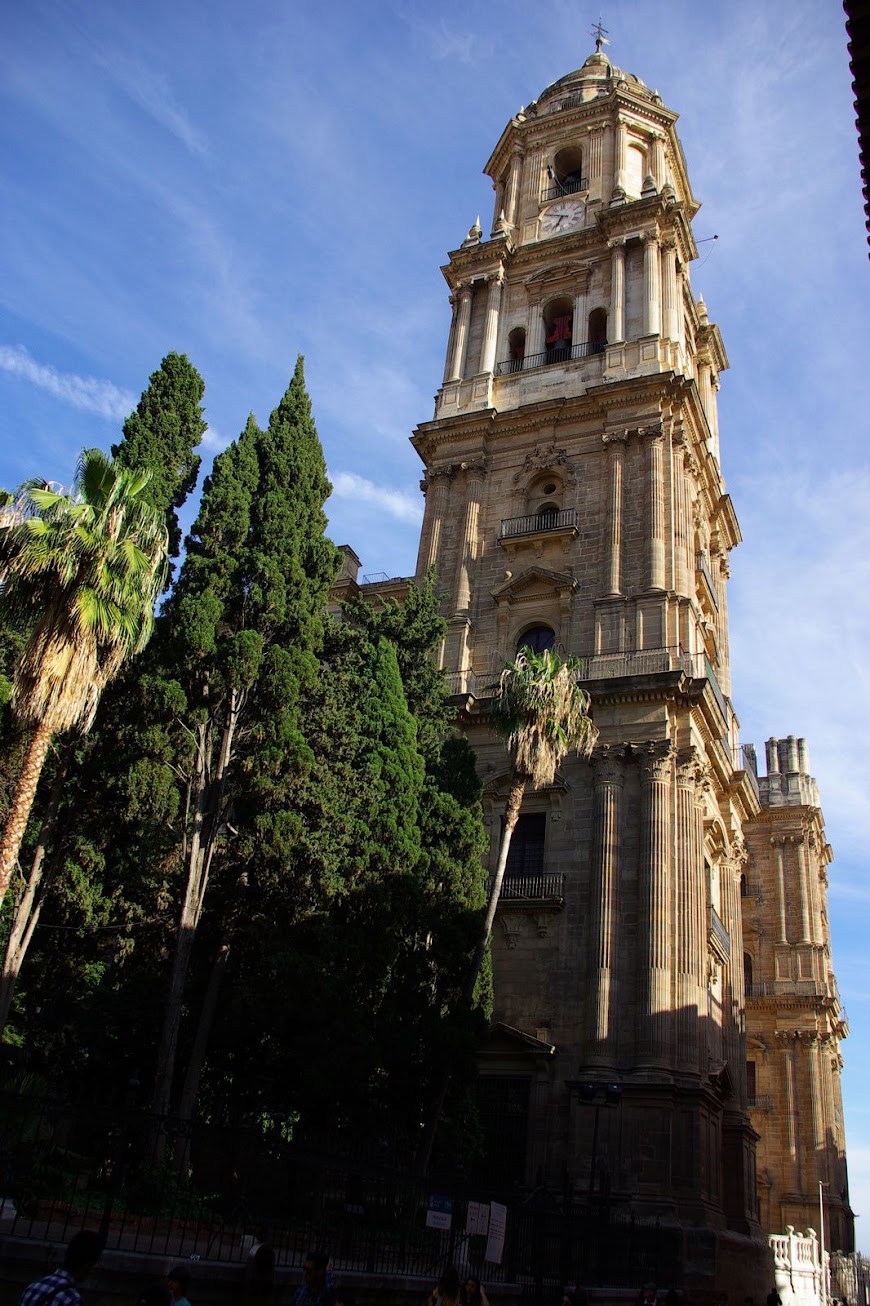 IMGP2667.JPG
