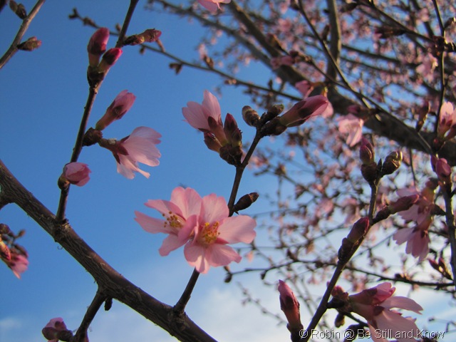 [IMG_8816%255B1%255D.jpg]