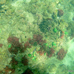 DRK 40th trip 28-4-12 - P1140574.JPG