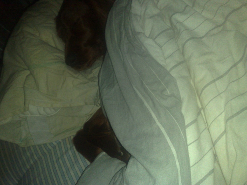 [Bild352%255B3%255D.jpg]