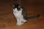 IMG_6428.JPG