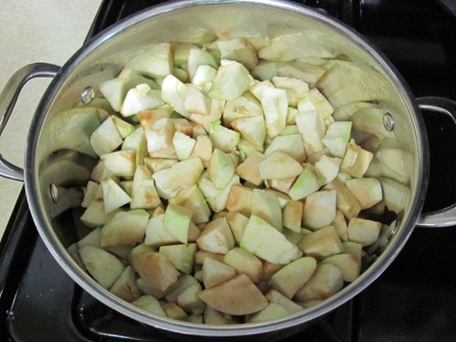 homemade apple sauce