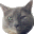 [pri-blog%255B2%255D.gif]