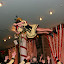IMG_3279 (Large).JPG
