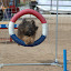 DSC_0124.JPG