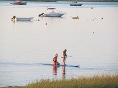 cape cod paddle boarding1