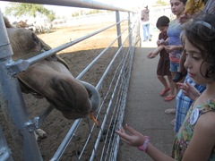 IMG_8689 IMG_8689