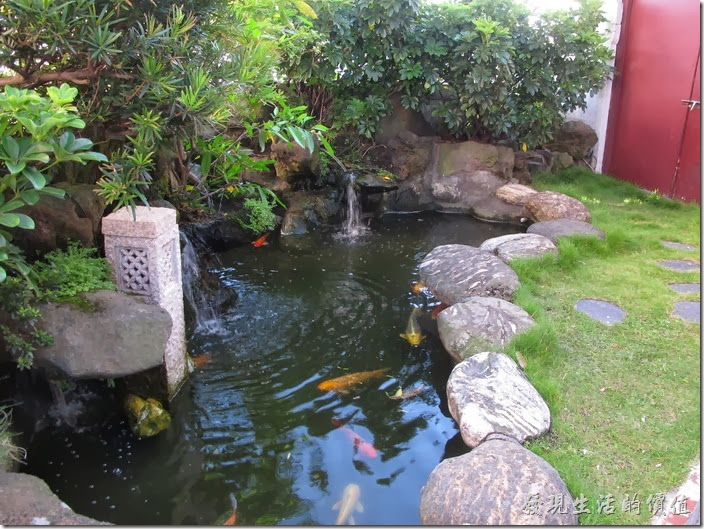 台北凱薩飯店的空中花園，一出來的地方有幾條錦鯉游來游去，這裡比較曬不到太陽，否則可能會被曬暈。