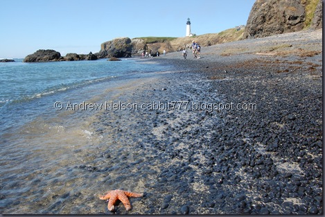 DSC_0754 DSC_0754