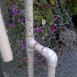 IMG_20120909_141546.jpg