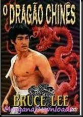Bruce Lee-O Dragão Chinês-download-1