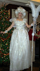 Snow Fairy
