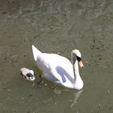 IMG_0458.JPG