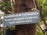 P3102443.JPG