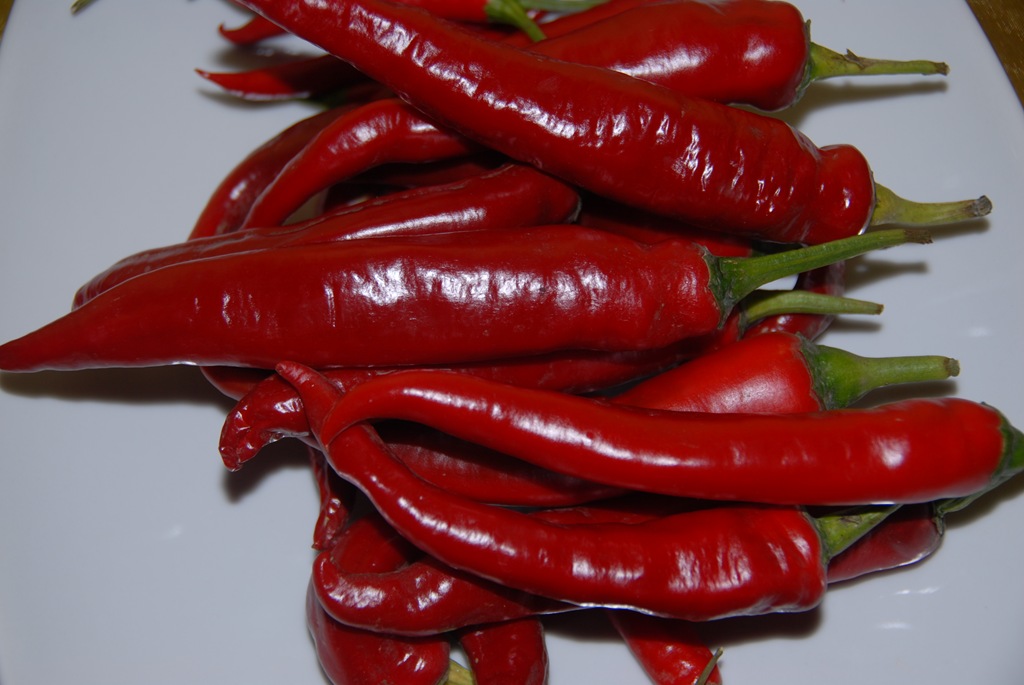 [DSC_0008%255B4%255D.jpg]