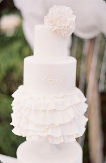 007104-r1-028cake goodness and jesi haack weddings 007104-r1-028cake goodness and jesi haack weddings