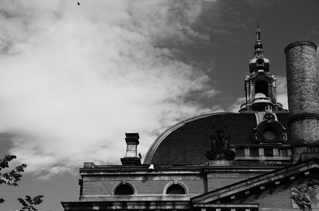 [DSC_0543%2520copy%255B2%255D.jpg]