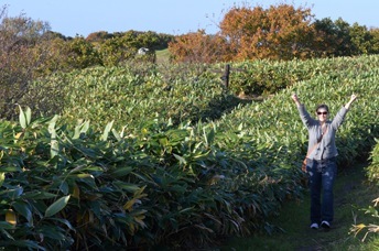 2011-10-10 Wakkanai 044