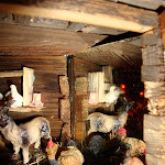 1512-10.JPG